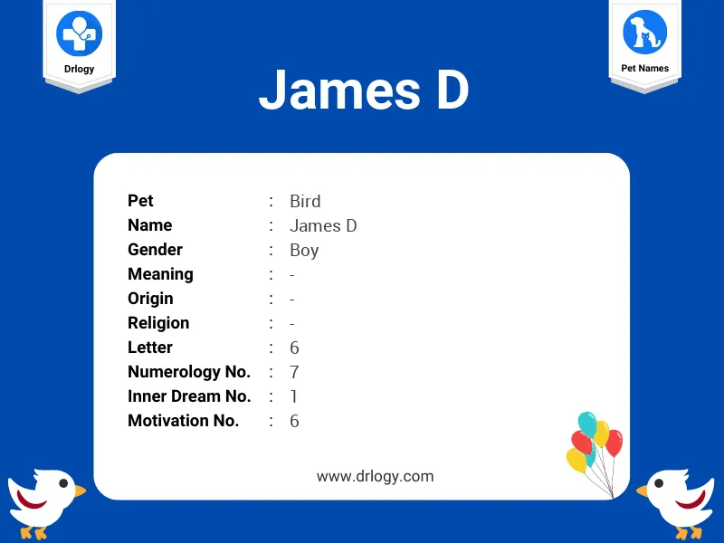 James D Name Meaning
